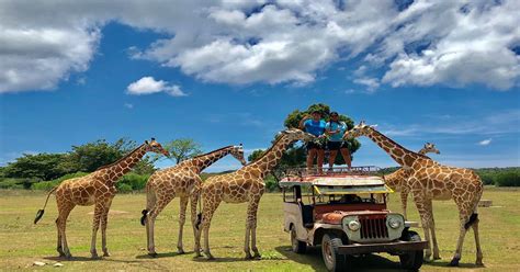 calauit safari park